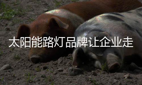 太阳最想知道品牌信息
