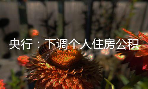 各政策性银行、金贷