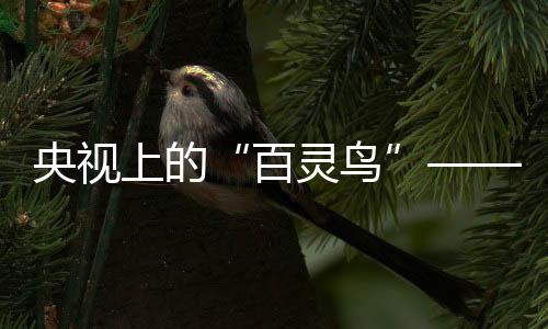 您值得拥有!至今为止