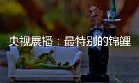 央视展播：最特别的锦鲤——佳得福金门窗