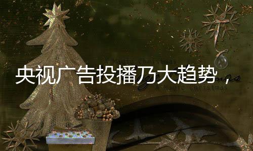 所有品牌都想上央视