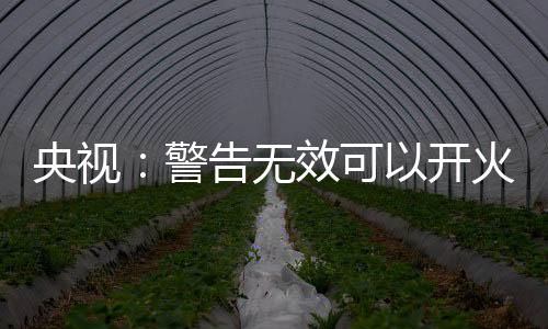 央视有底而自身没有任何损失