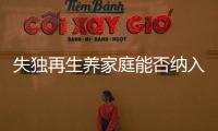 失独再生养家庭能否纳入政策补助？丨两会圆桌