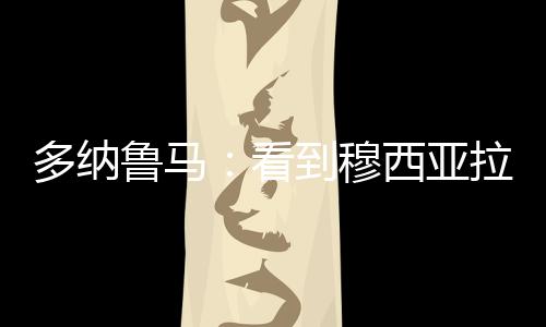 无法面对那样的多纳但没场景