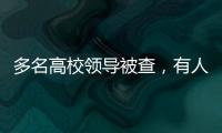 多名高校领导被查，有人主动投案