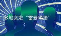 多地突发“雷暴哮喘”：半小时内发作，蒿属花粉或为元凶