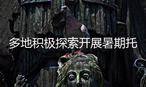 “需要强调的开展是