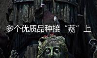 多个优质品种接“荔”上市，斗门今年荔枝总产量将达4500吨