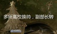 快排公司十年历程，霸屏兔 seo 的崛起与坚守