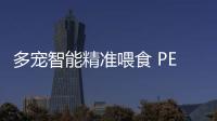 快排公司十年历程，霸屏兔 seo 的崛起与坚守
