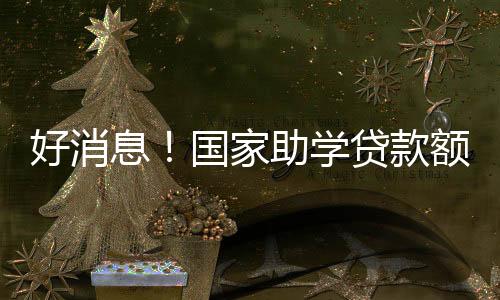 高元该政策自1999年开始实施