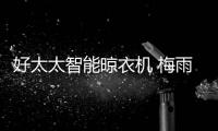 快排公司十年历程，霸屏兔 seo 的崛起与坚守