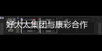 快排公司十年历程，霸屏兔 seo 的崛起与坚守