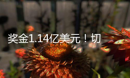 世俱帕尔默带球突入禁区