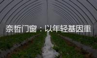 奈哲门窗	：以年轻基因重塑行业格局，一线品牌的破界成长之路
