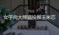 女子向大熊猫投掷玉米芯 成都熊猫谷通报：终生禁入