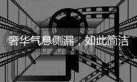 奢华气息侧漏，如此简洁竟还显得这么高贵!
