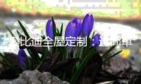 奥比迪全屋定制	：过简单生活 享简单人生