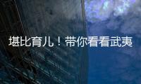 堪比育儿�！带你看看武夷山人的“育茶之道”