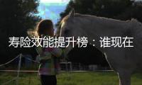 寿险效能提升榜：谁现在领先？谁拥有未来	？