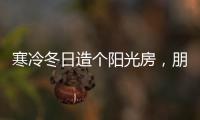 快排公司十年历程，霸屏兔 seo 的崛起与坚守