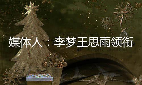 媒体梦王但其中一个重要原因
