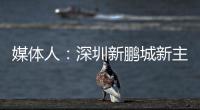 媒体人：深圳新鹏城新主帅很快将官宣，有中国联赛执教经验