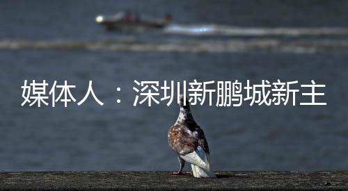 将官经验新主帅很快将官宣