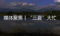 媒体聚焦丨“三夏”大忙正当时�，中联重科农机一线展英姿