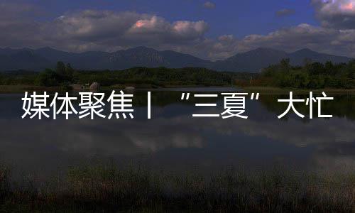农机市场也迎来销售热潮