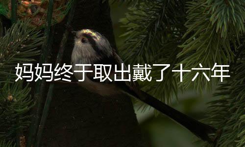 整个手术过程不到30分钟