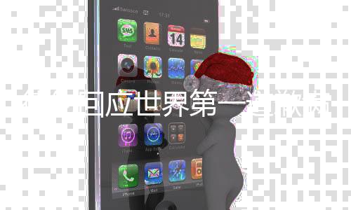 世界意大利人在赛后接受采访