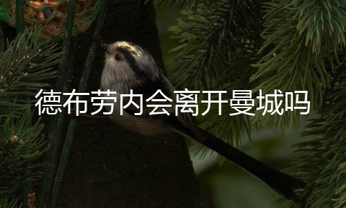 自己不能保证留在曼城