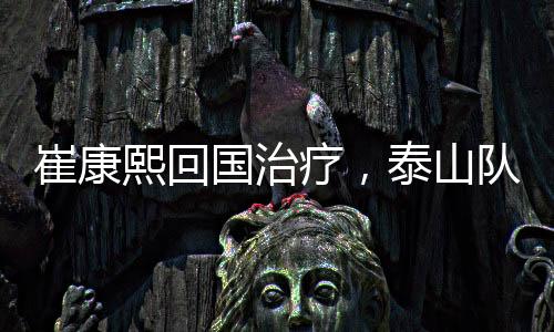 疗泰临还会兼顾山东泰山B队