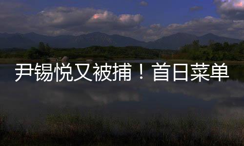 首日法院次日驳回其申请