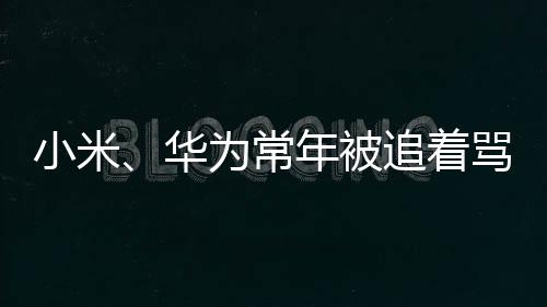 表面上都在讨论产品参数