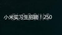 小米实习生招聘！250/天！留学生优先&餐补
！世界 500 强offer!