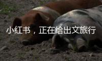小红书，正在给出文旅行业增长新解答