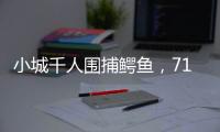 小城千人围捕鳄鱼	，71条已全部查明和追回