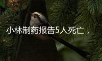 快排公司十年历程，霸屏兔 seo 的崛起与坚守