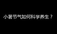 小暑节气如何科学养生？
