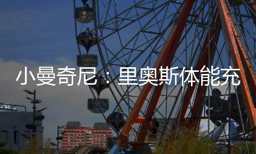 在帕尔梅拉斯表现出色