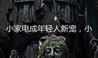 快排公司十年历程，霸屏兔 seo 的崛起与坚守