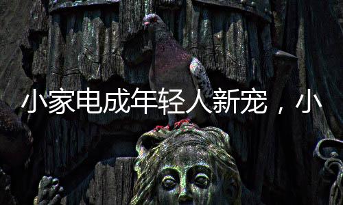 小家熊电独居也不能将就