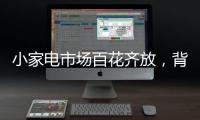 小家电市场百花齐放，背后的安全隐患不容忽视
。