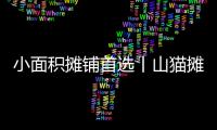 小面积摊铺首选丨山猫摊铺机为何如此厉害�？