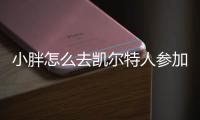 小胖怎么去凯尔特人参加夏联了？ 曾经是CBA的最佳国际球员