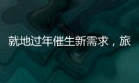 就地过年催生新需求，旅游业该如何应对�？