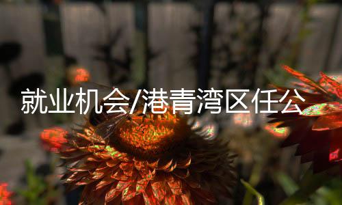 青湾区任河交相辉映