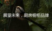 展望未来	，厨房橱柜品牌以环保优势席卷市场